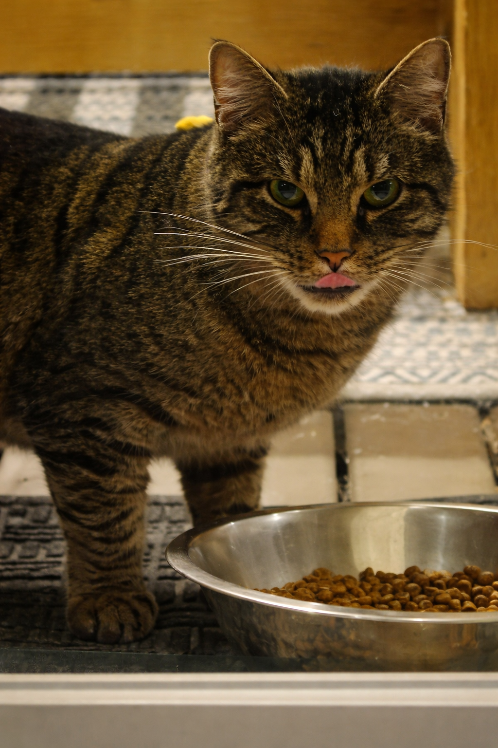 Maruay early days at our home