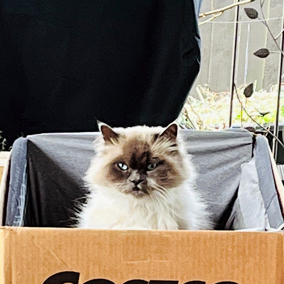 Numchoke during his transition period