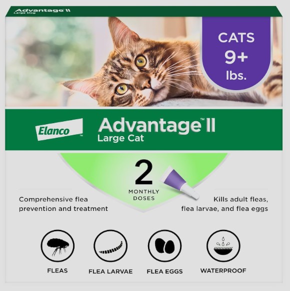 Cat Flea Prevention Treatment