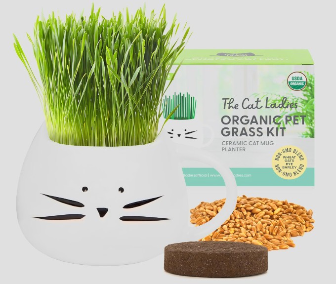 Indoor Cat Grass Growing Kit